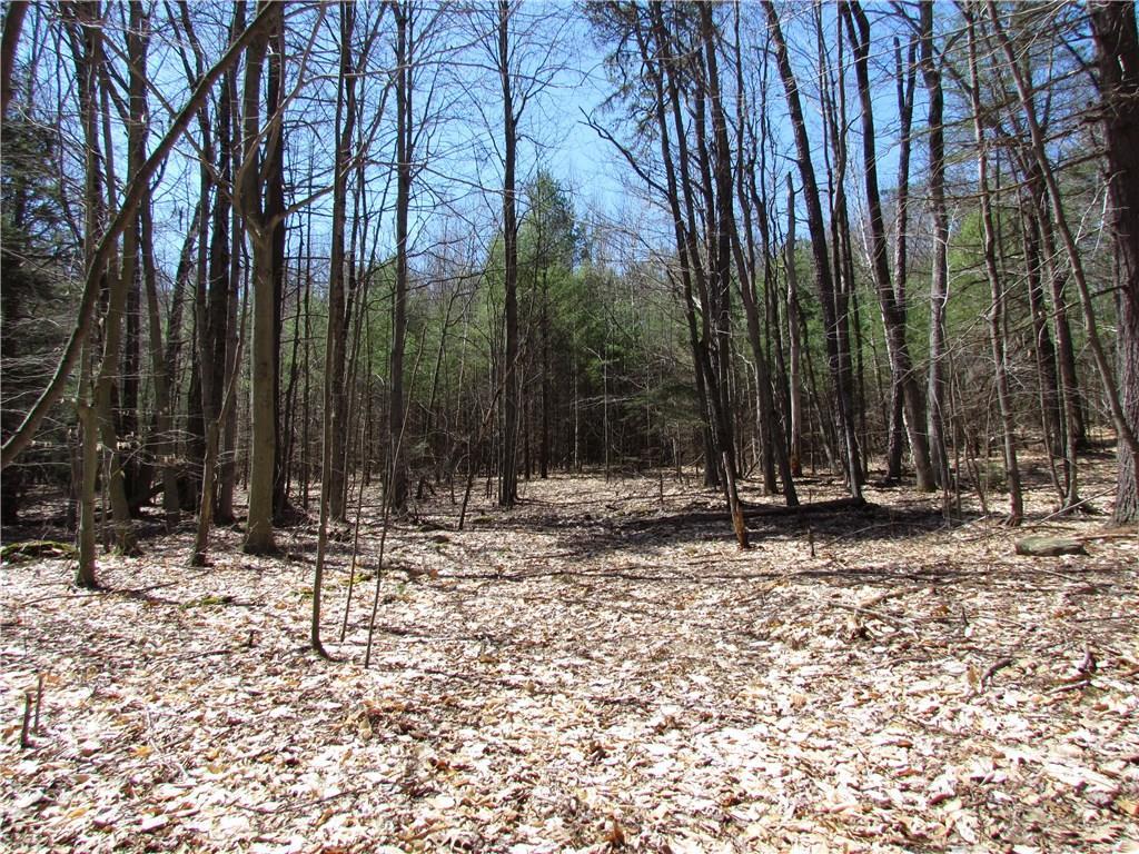 S/s South Orchard Road Cumberland Center, ME 04021 - Photo 8 of 27 Photo
