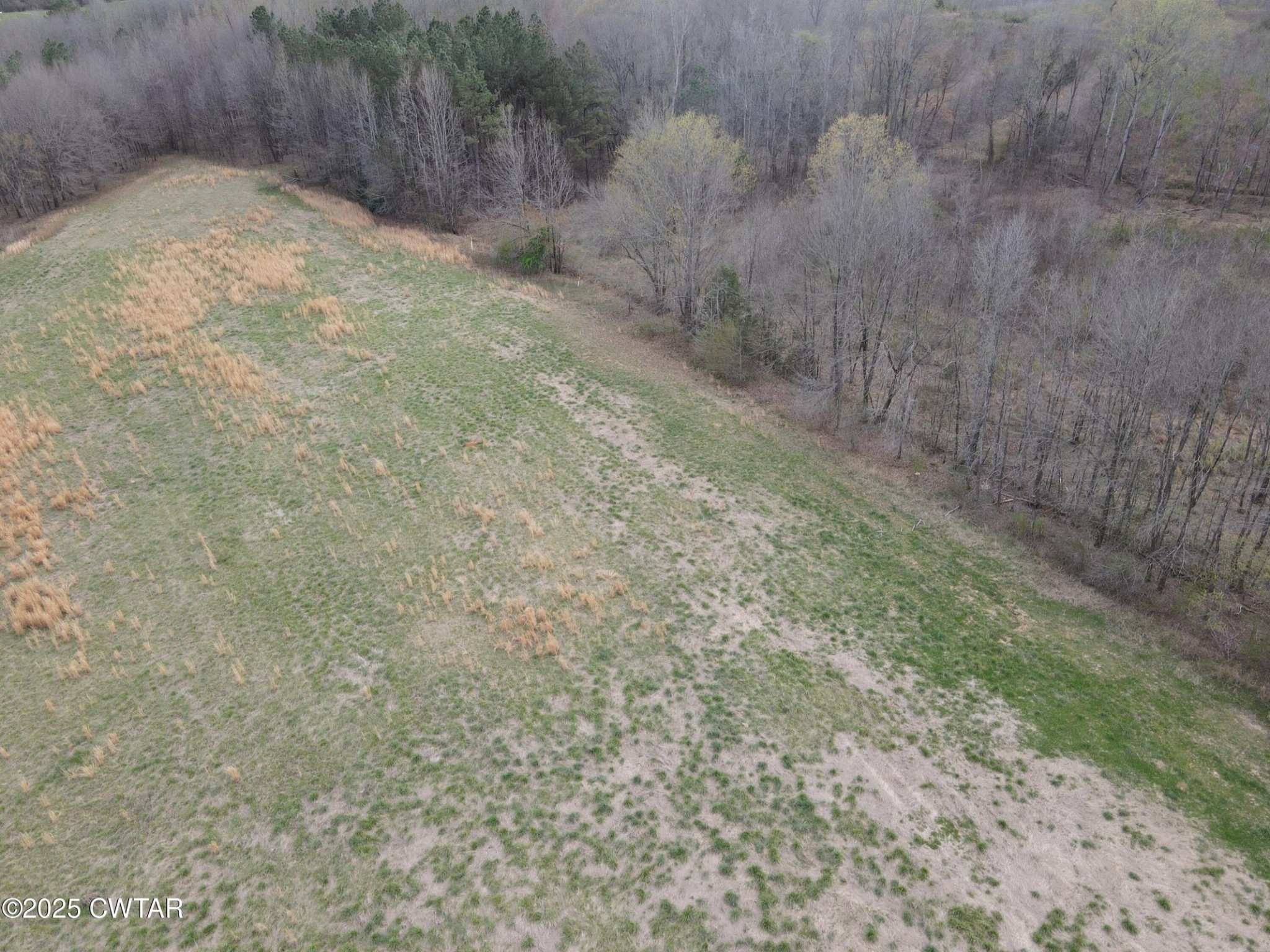 0 State Route South Enville, TN 38332 - Photo 2 of 12 a view of a dry yard with trees