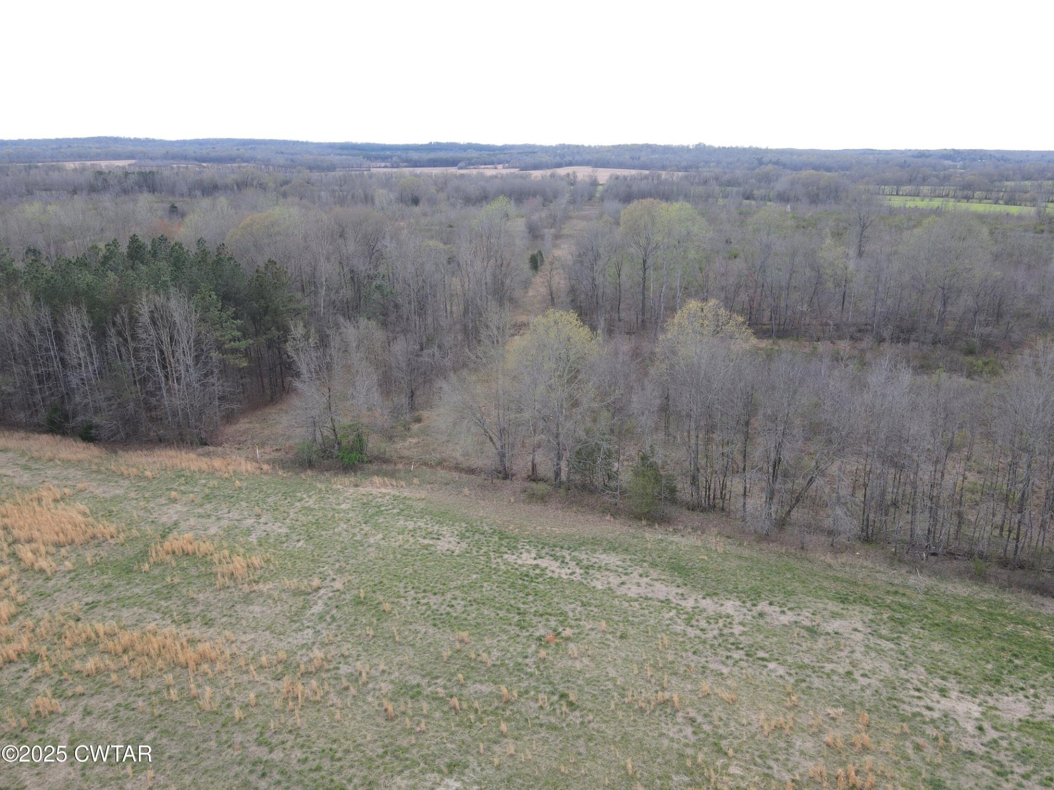 0 State Route South Enville, TN 38332 - Photo 3 of 12 a view of a dry yard with trees