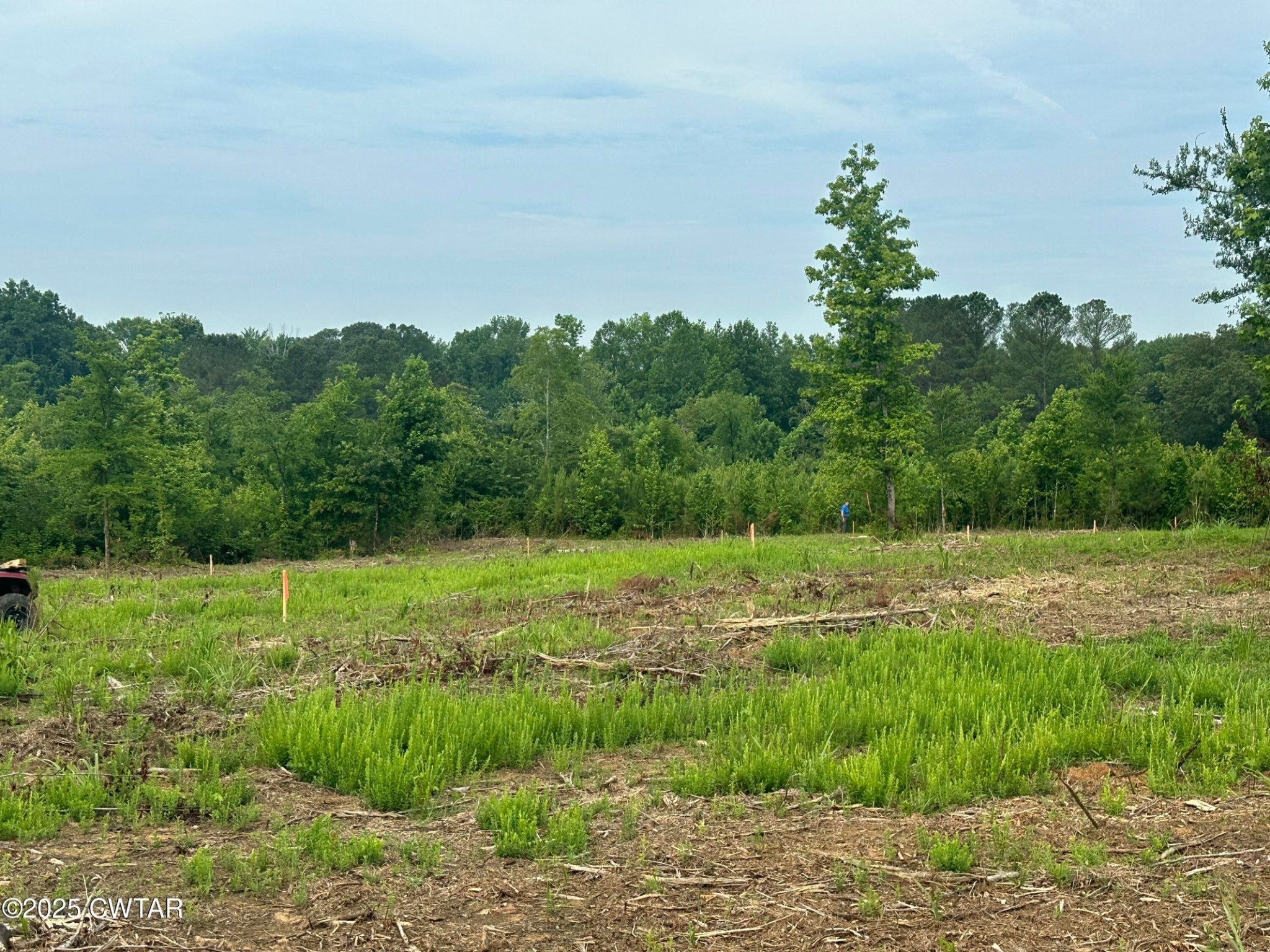 0 State Route South Enville, TN 38332 - Photo 6 of 12 a view of an outdoor space and a yard