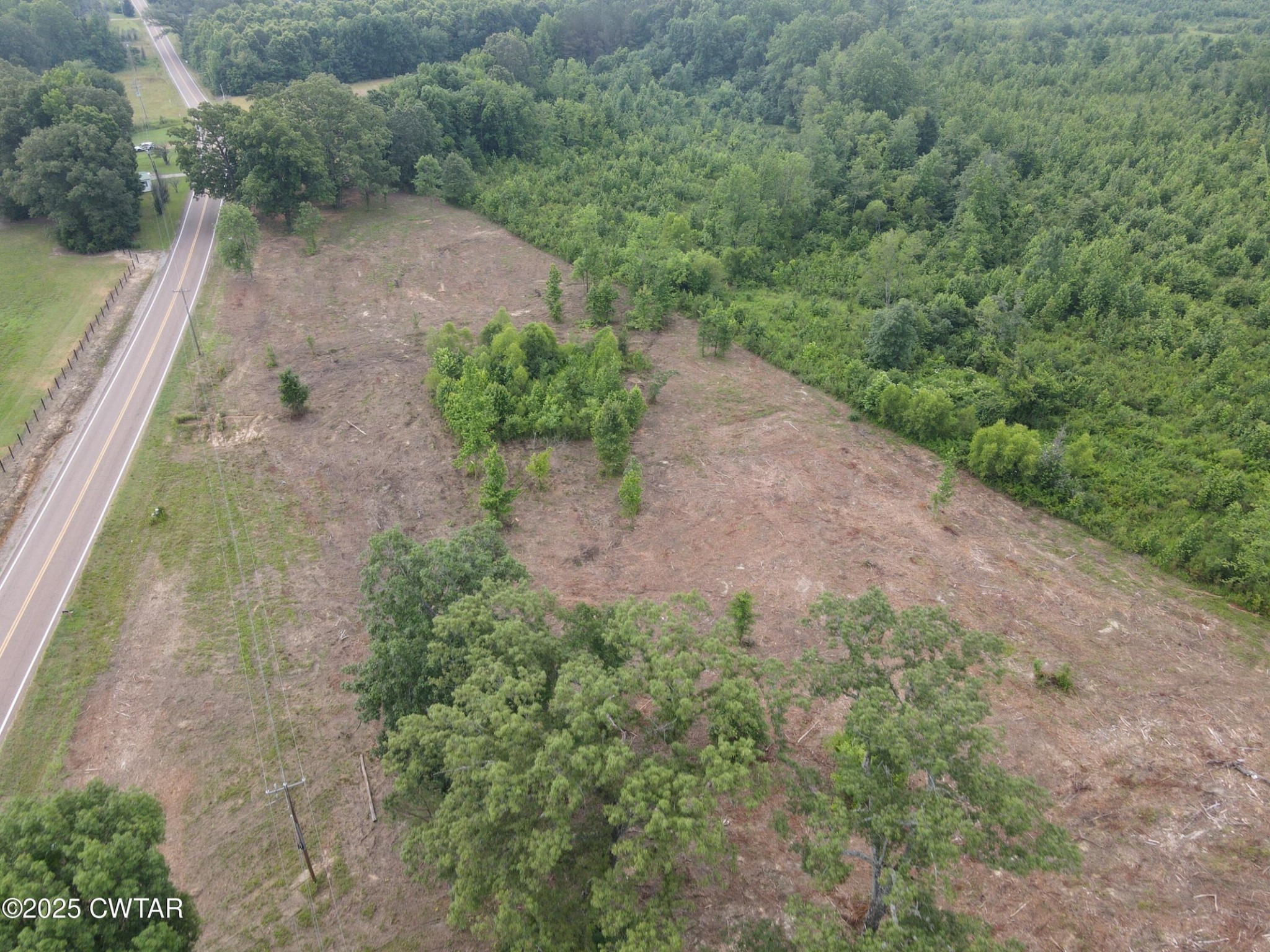 0 State Route South Enville, TN 38332 - Photo 9 of 12 a view of a dry yard with trees