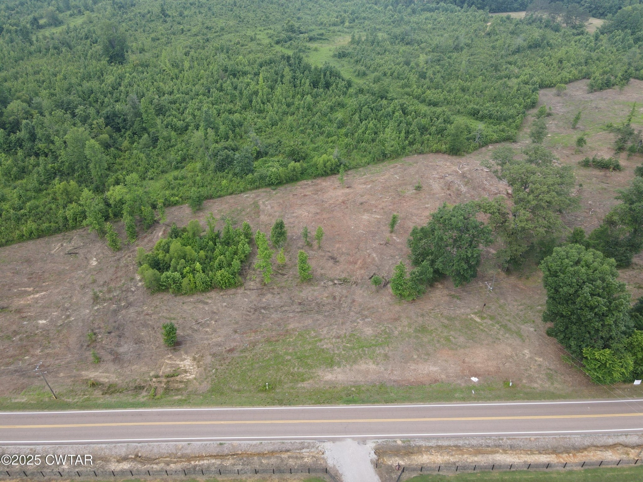 0 State Route South Enville, TN 38332 - Photo 10 of 12 a view of a yard with a space