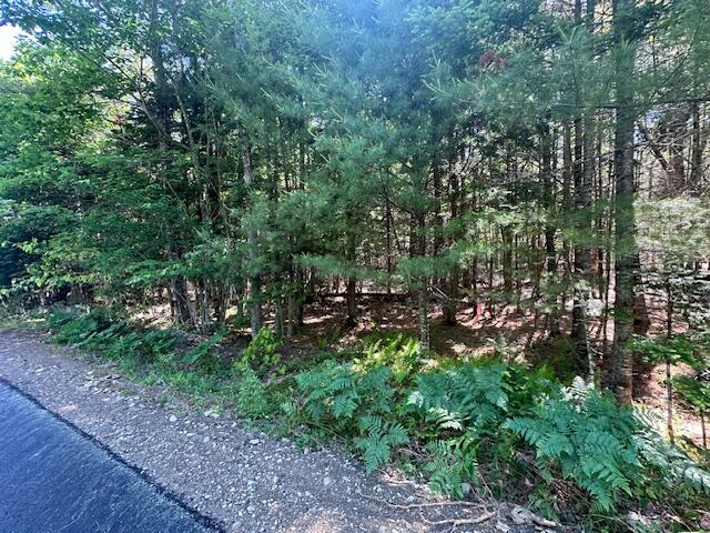 671 Stream Road Winterport, ME 04496 - Photo 35 of 47