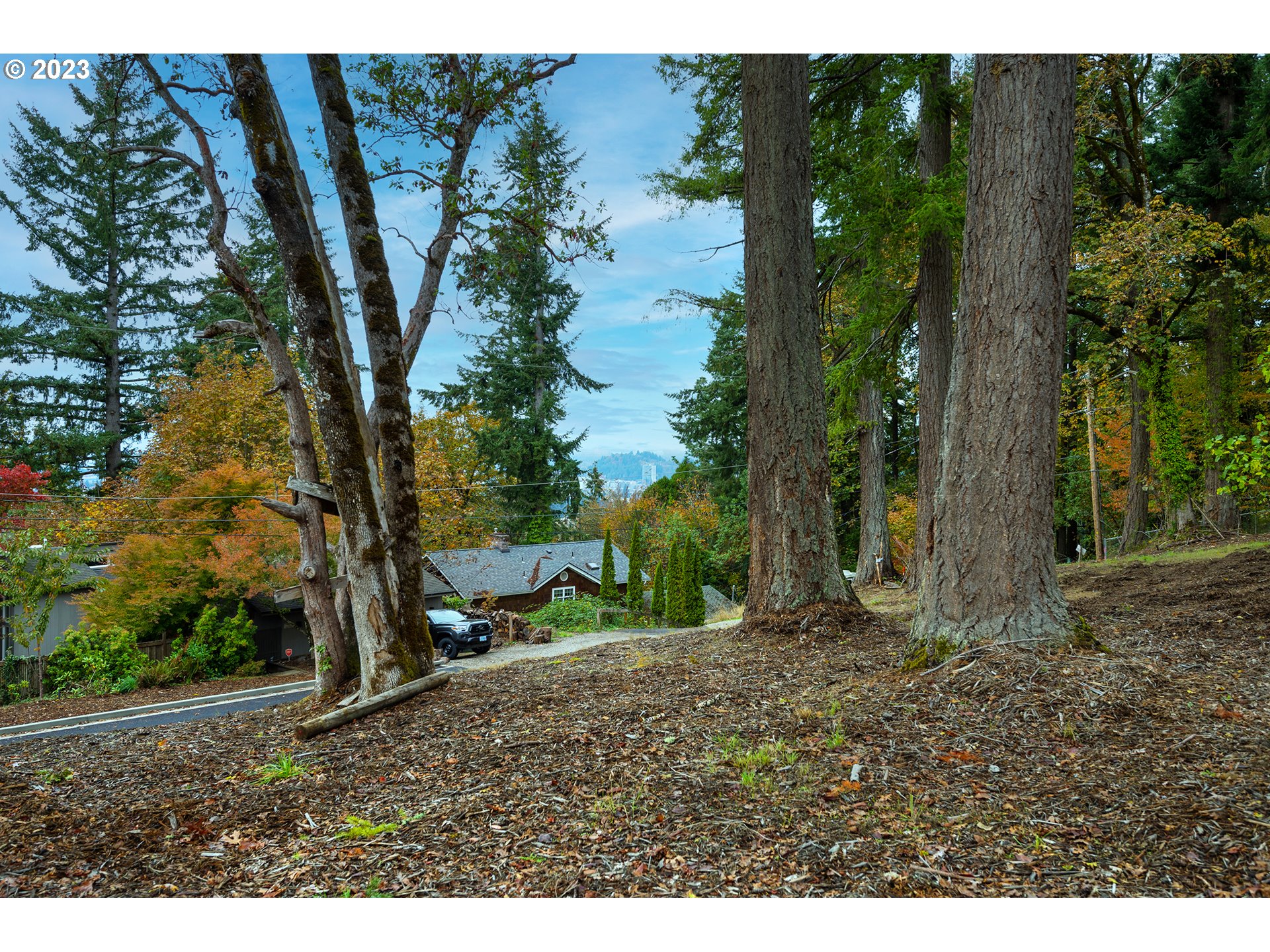 2985 Capital Drive, Unit 3 Eugene, OR 97403 - Photo 8 of 13