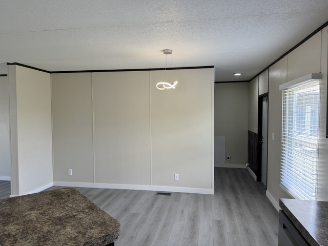 393 Duchess Pass Kyle, TX 78640 - Photo 3 of 14 A luminous dining space features contemporary lighting and vinyl flooring, ideal for modern living.