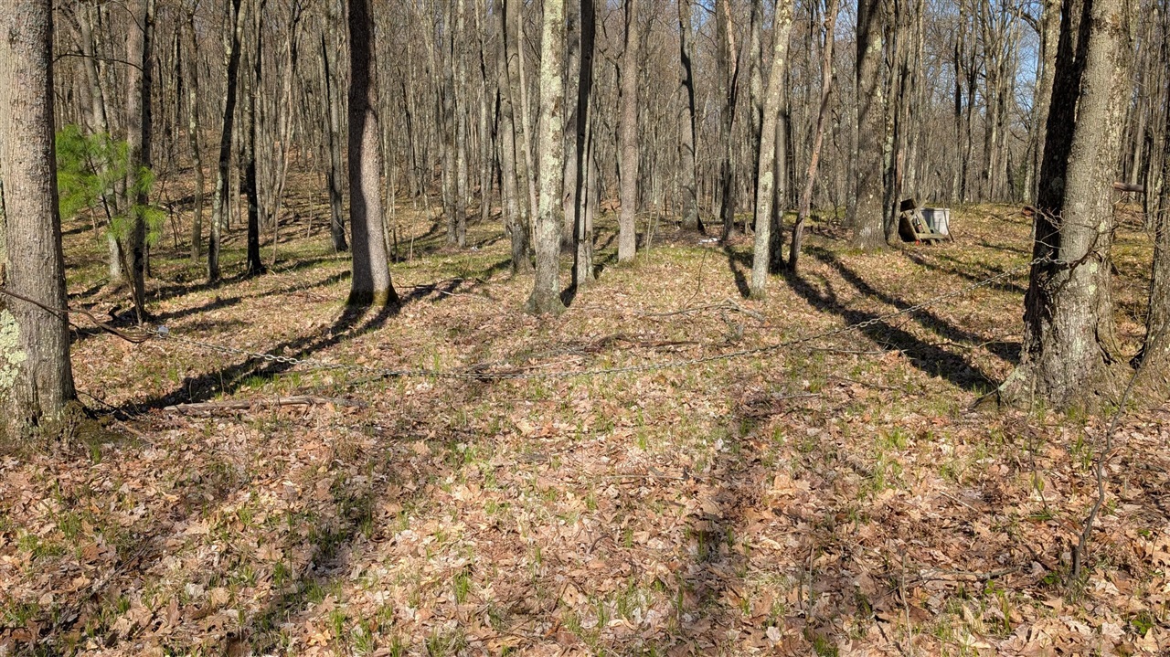 V/l Willow Road Bitely, MI 49309 - Photo 2 of 3