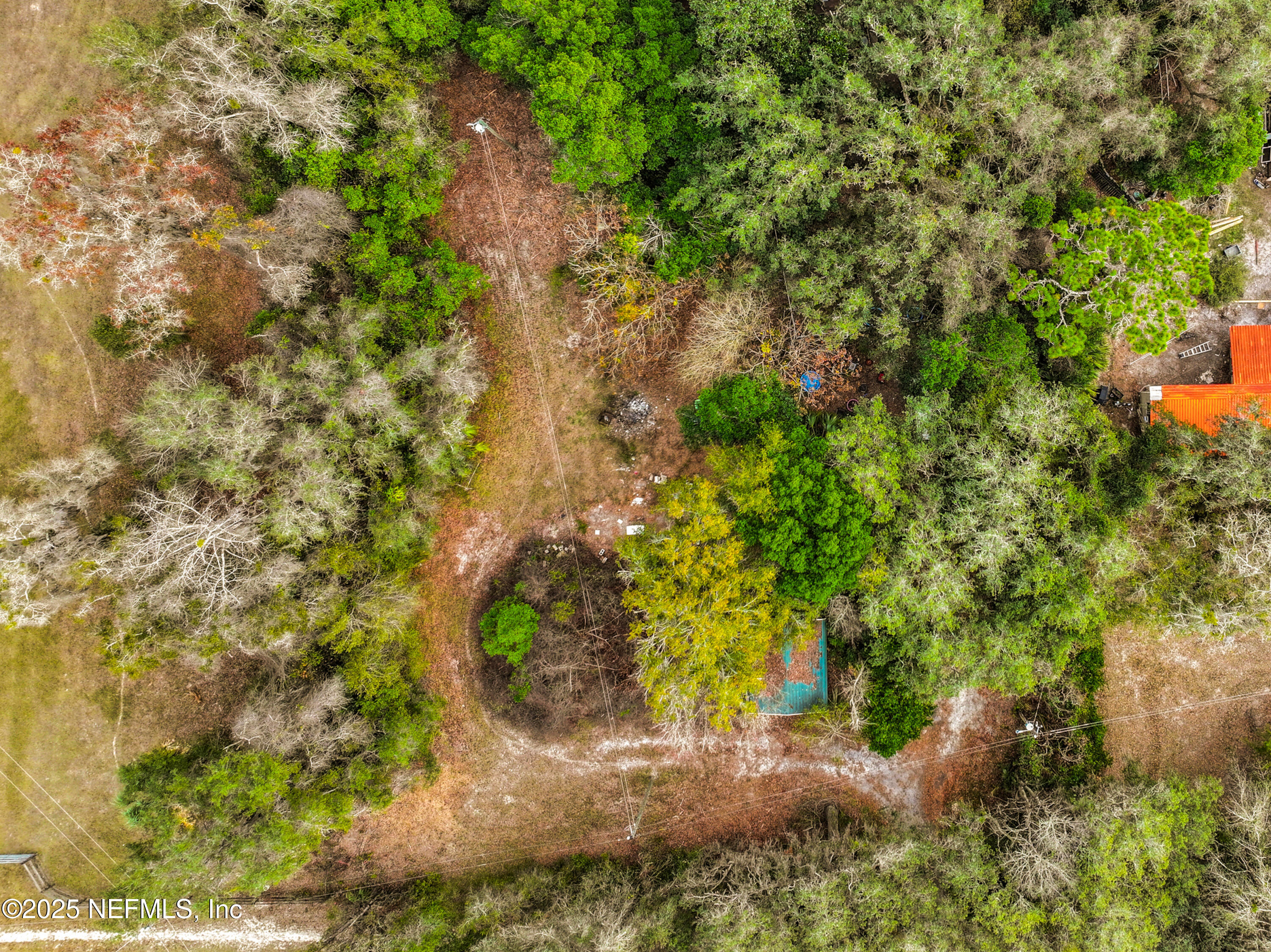 22695 Northeast 130th Court Road Fort McCoy, FL 32134 - Photo 14 of 22 a backyard of a house with a yard and large trees