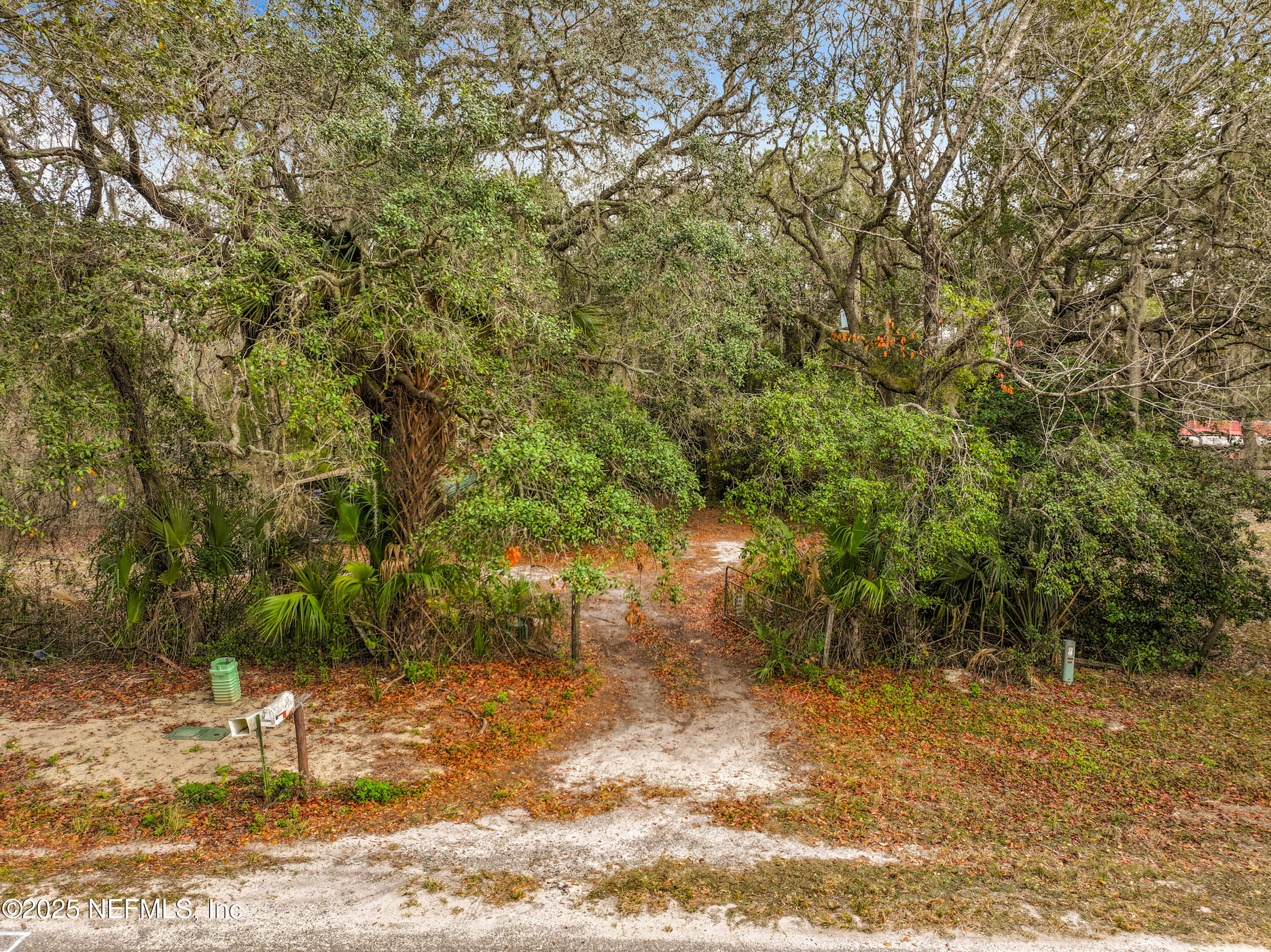 22695 Northeast 130th Court Road Fort McCoy, FL 32134 - Photo 6 of 22 a view of a yard with plants and trees
