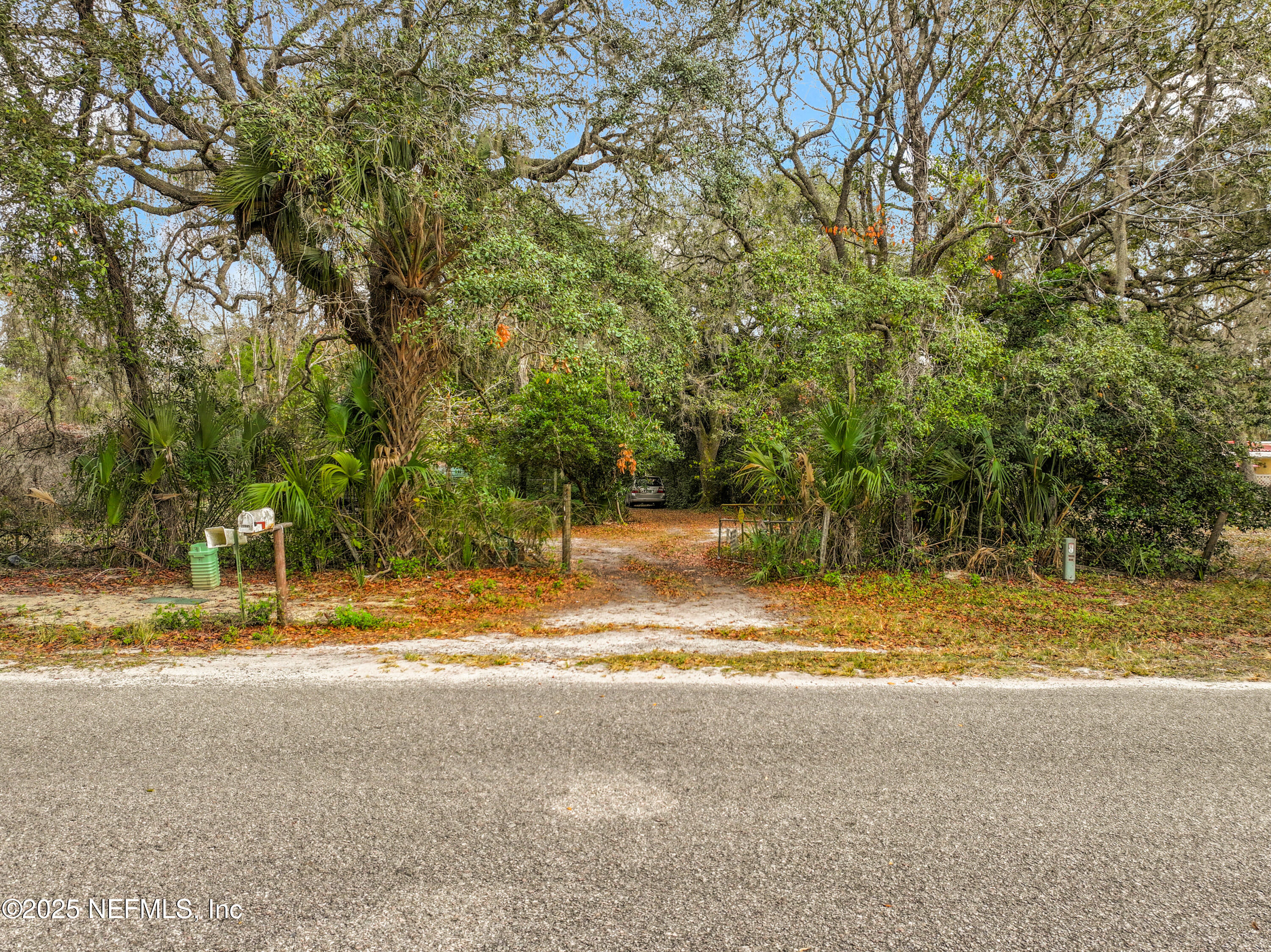 22695 Northeast 130th Court Road Fort McCoy, FL 32134 - Photo 7 of 22 a view of back yard with swimming pool