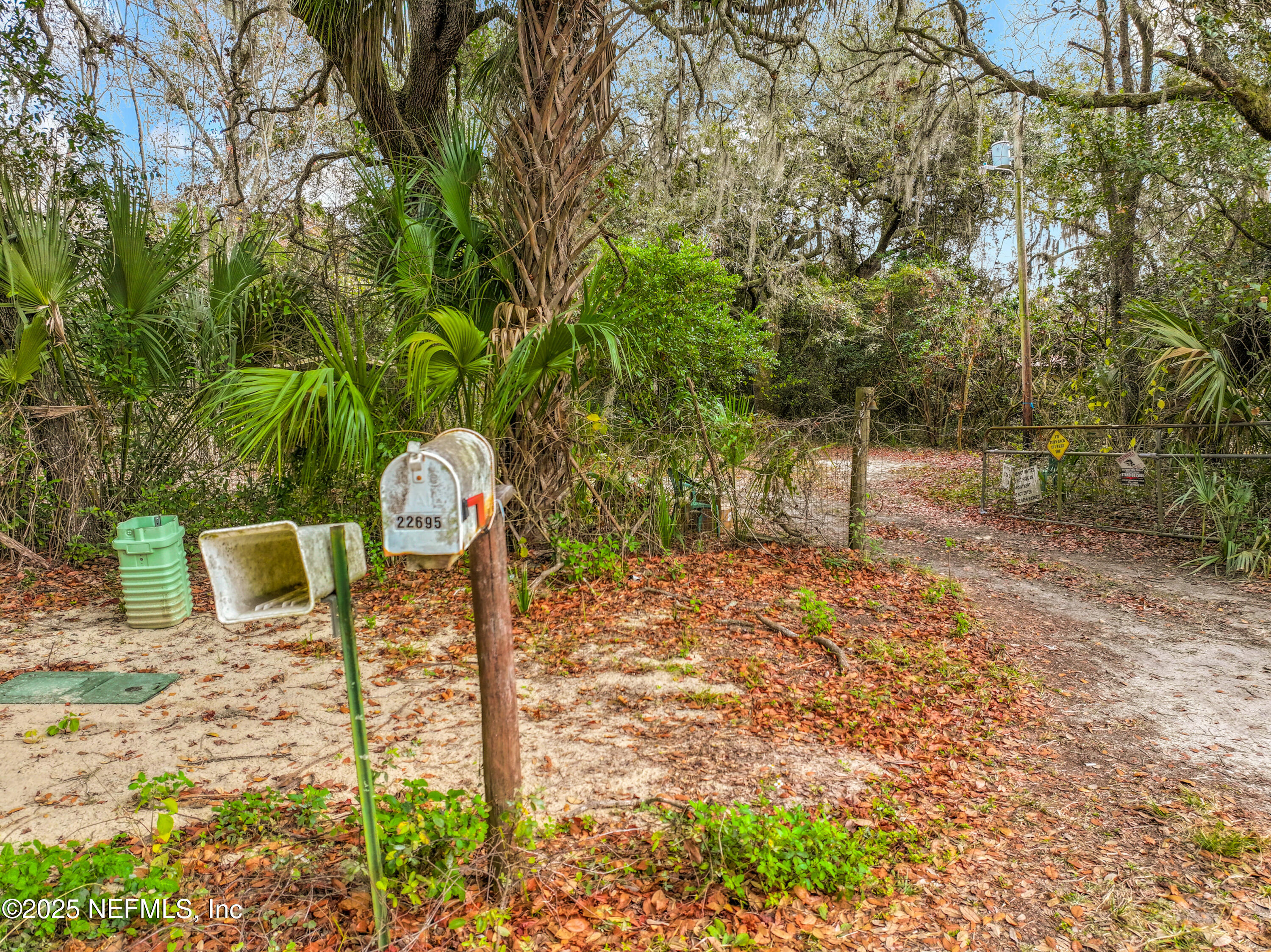 22695 Northeast 130th Court Road Fort McCoy, FL 32134 - Photo 8 of 22 a backyard of a house with lots of green space