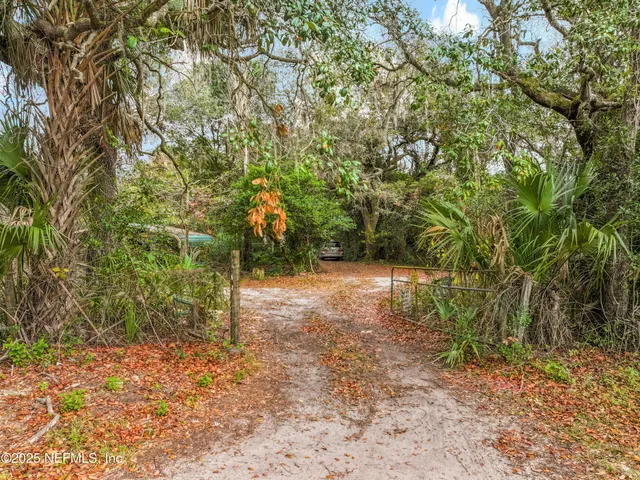 a view of a yard with plants and trees