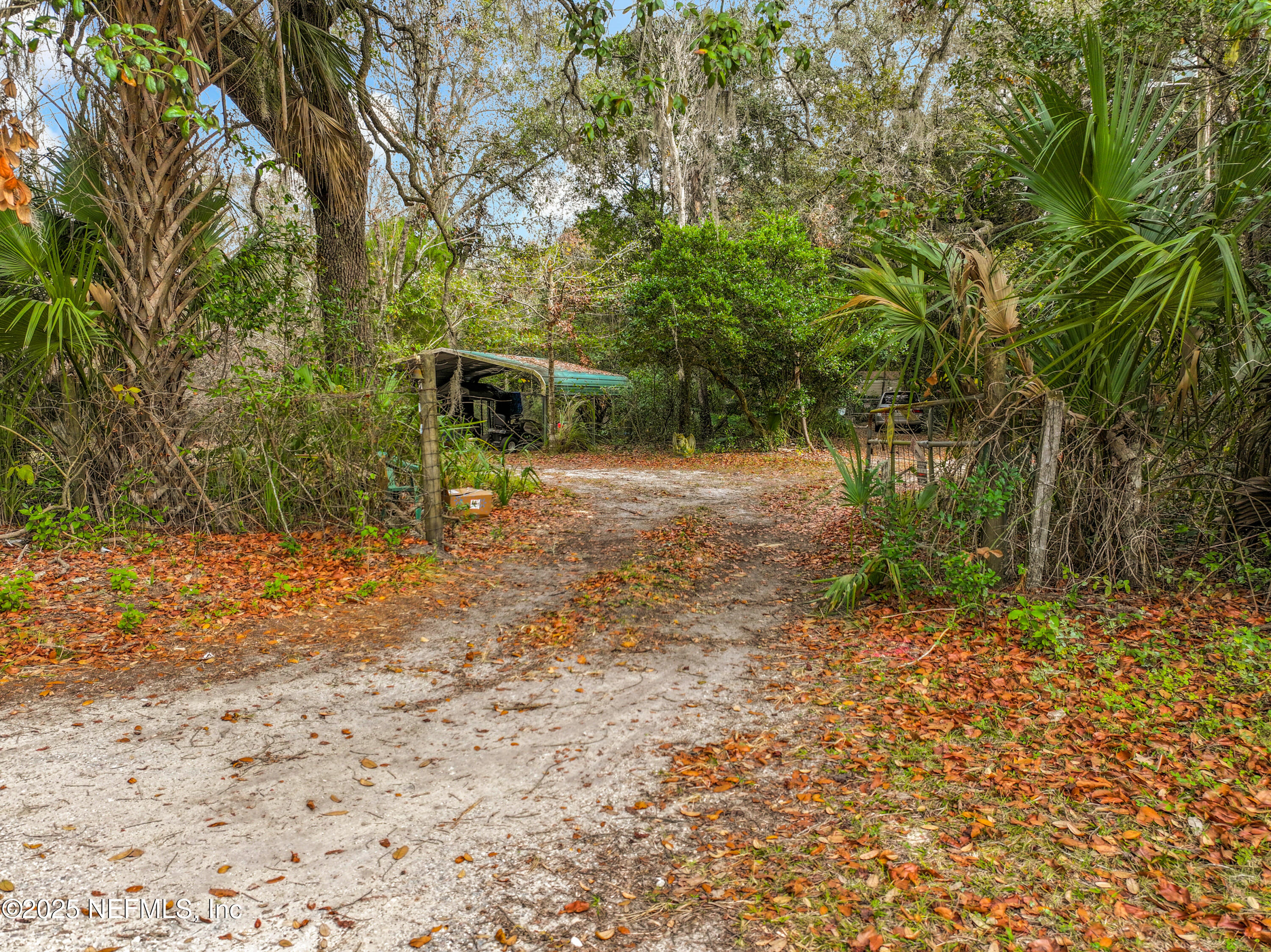 22695 Northeast 130th Court Road Fort McCoy, FL 32134 - Photo 10 of 22 a backyard of a house with lots of green space