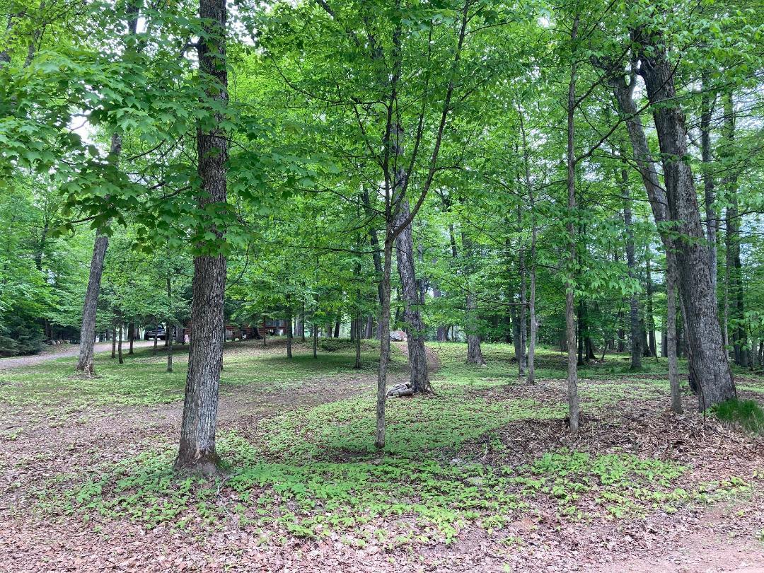 5125 Black Lake Road Mercer, WI 54547 - Photo 51 of 55 Gallery Image 51