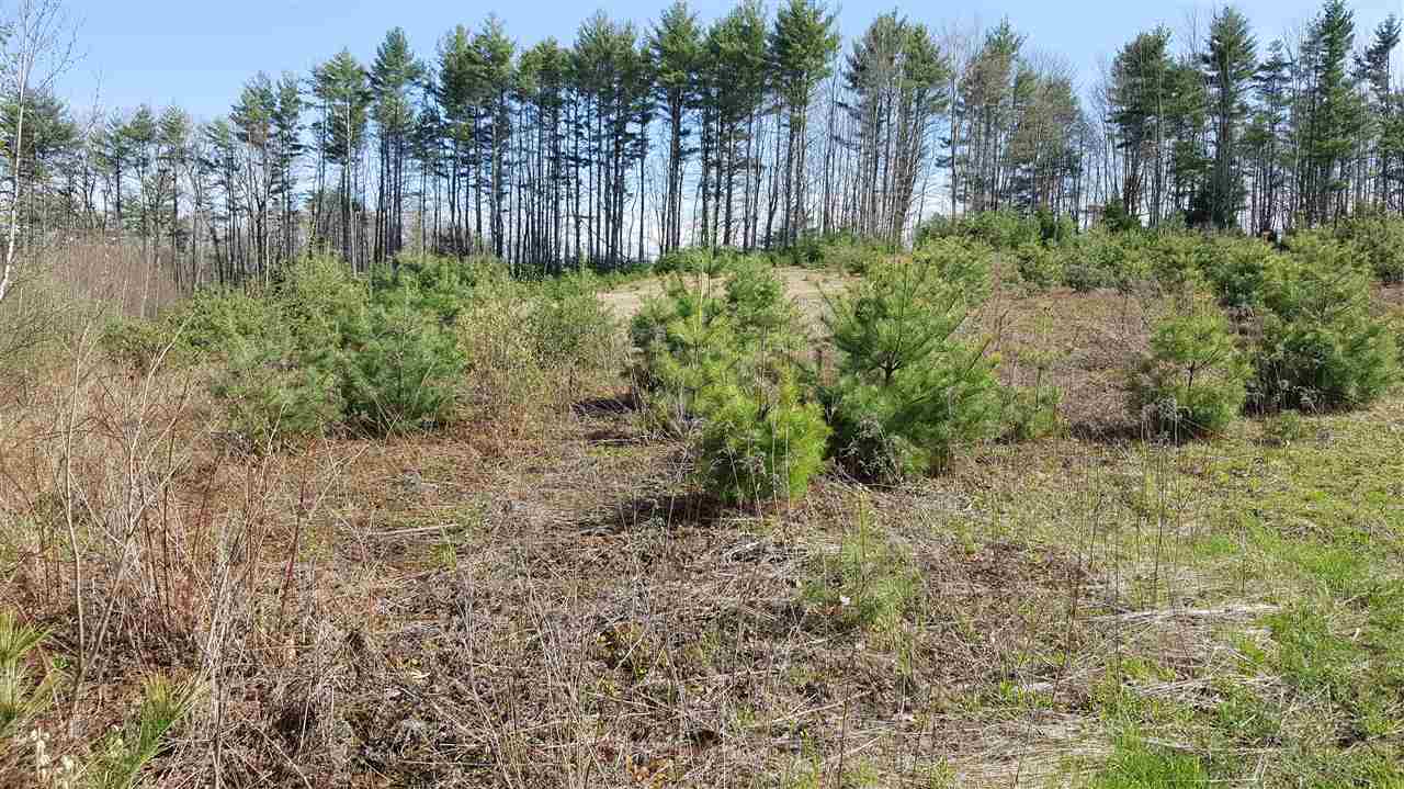 34-20 Loudon Road Pittsfield, NH 03263 - Photo 2 of 10