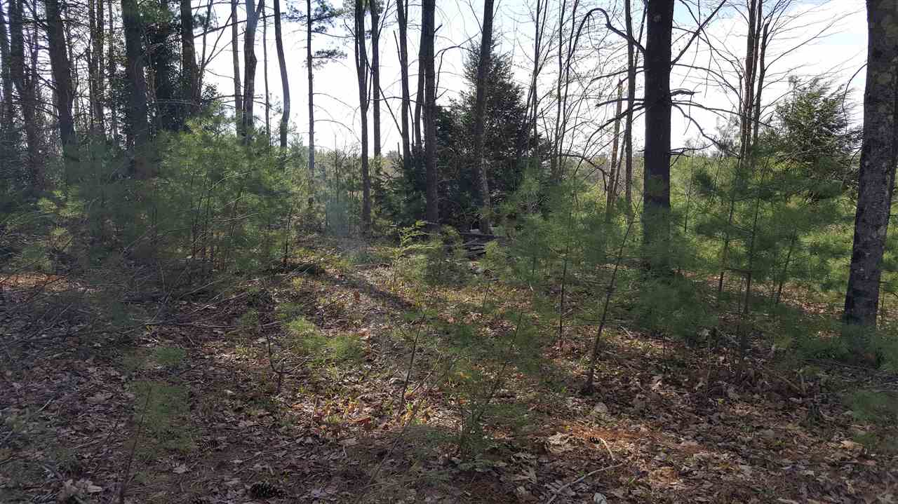 34-20 Loudon Road Pittsfield, NH 03263 - Photo 8 of 10
