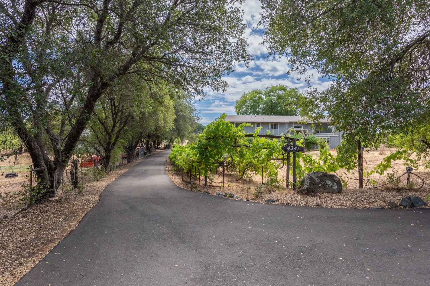 4241 Monk Road Placerville, CA 95667 - Photo 1 of 1 Welcome Home to your gated and all fenced 5 acre property. I think you are going to like it here!