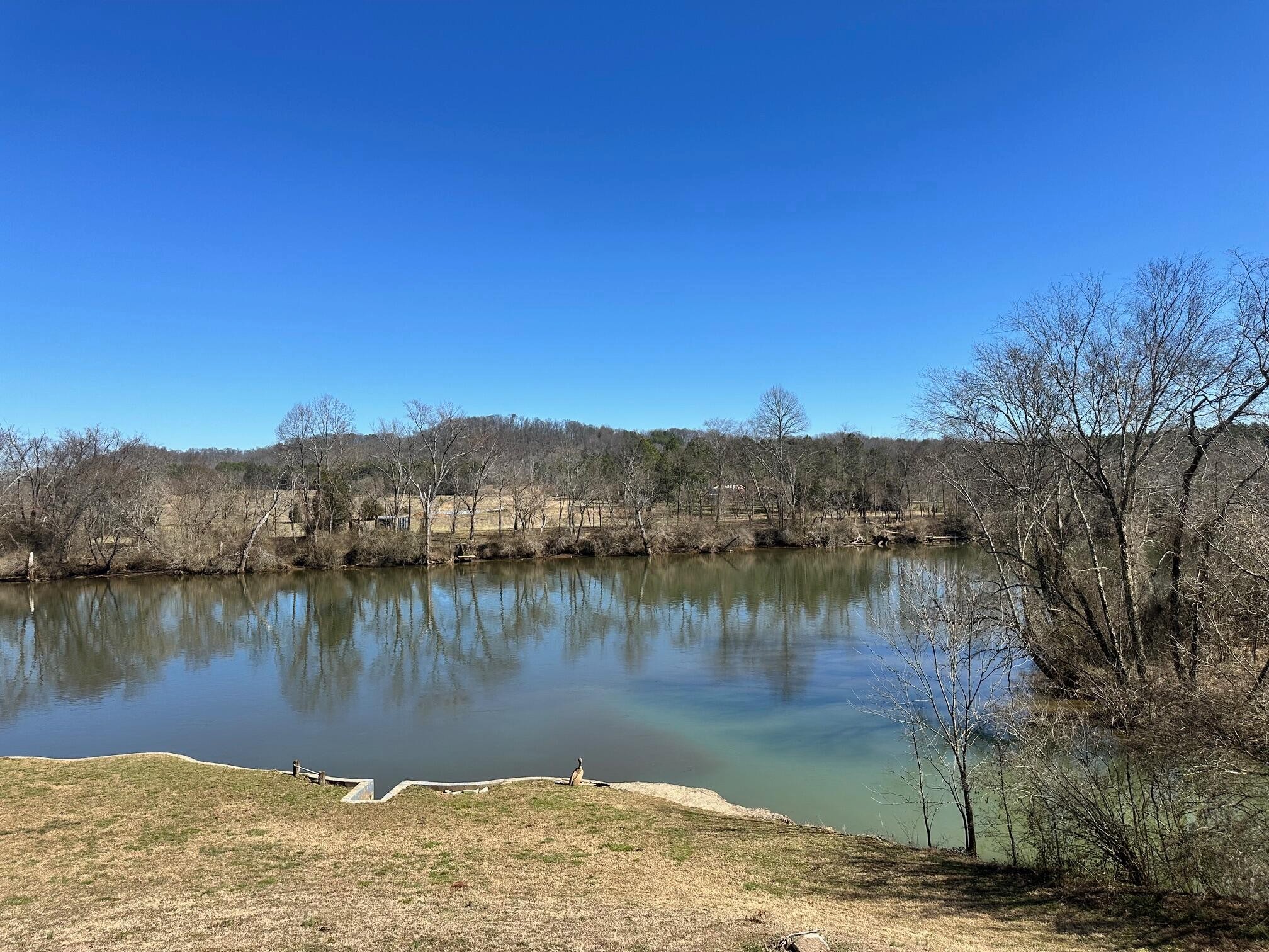 461 Upper River Road Northeast Charleston, TN 37310 - Photo 7 of 23 Gallery Image 7