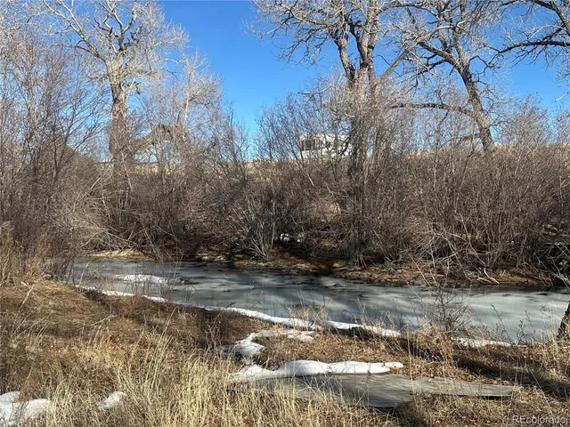 a view of a lake with a tree