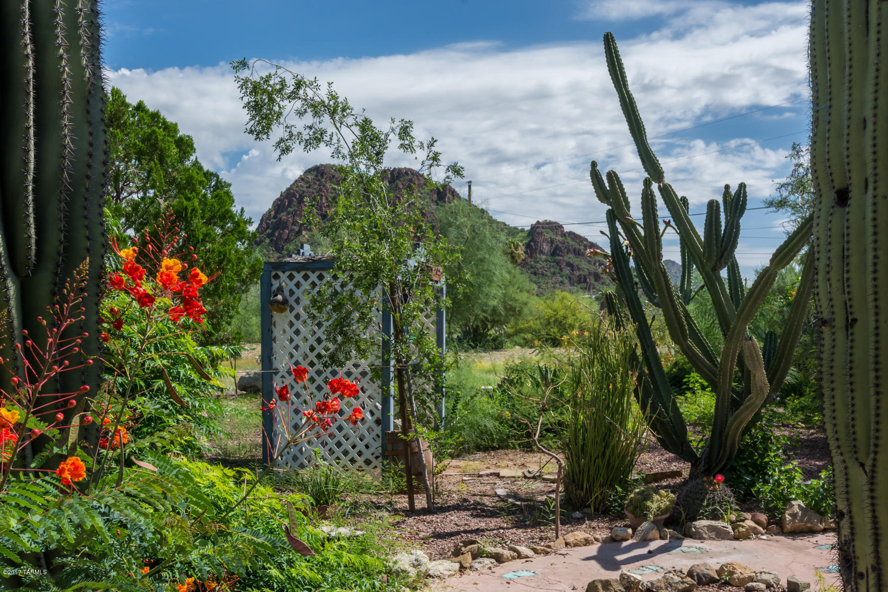 4855 West Mossman Road Tucson, AZ 85757 - Photo 9 of 22 Gallery Image 9