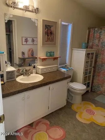 a bathroom with a sink toilet and mirror
