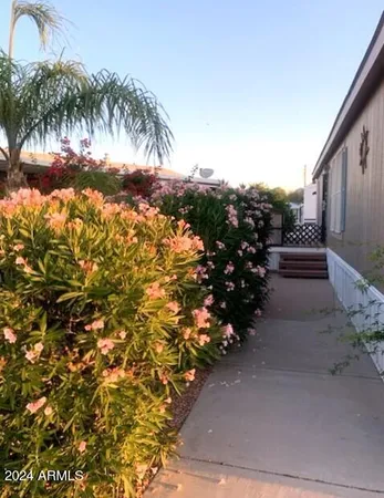 a view of a pathway with a tree