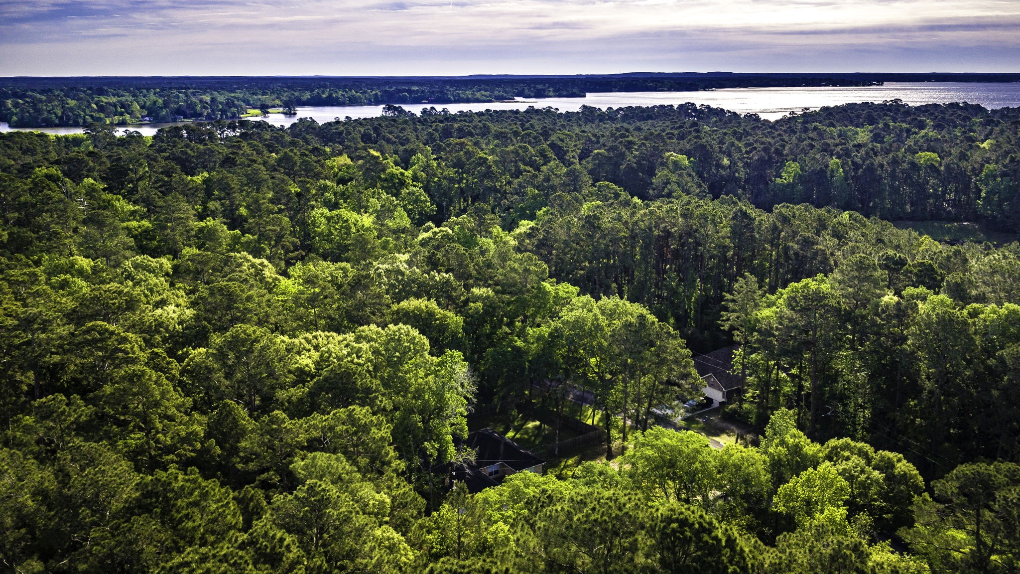 6 Lost Forest Trinity, TX 75862 - Photo 28 of 29 a view of a city with lush green forest