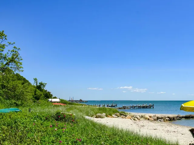 a view of a yard with an outdoor space