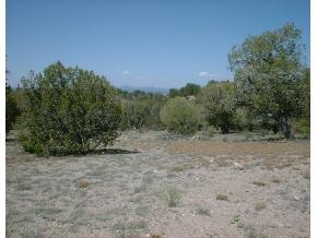 5700 Dillon Wash Road Prescott, AZ 86305 - Photo 1 of 1 a view of an outdoor space with trees