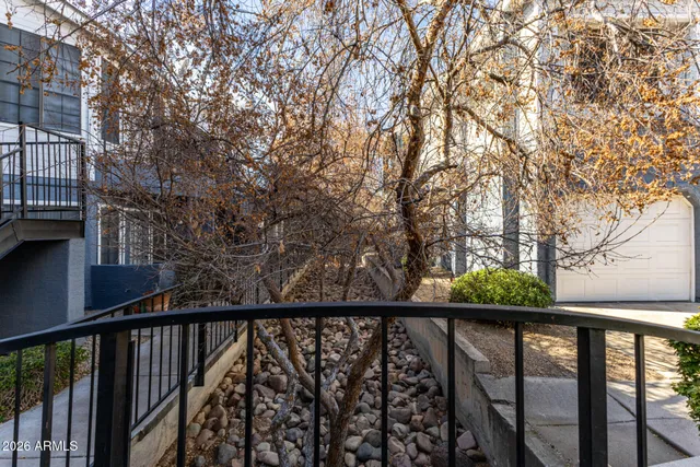 a view of a park with large trees