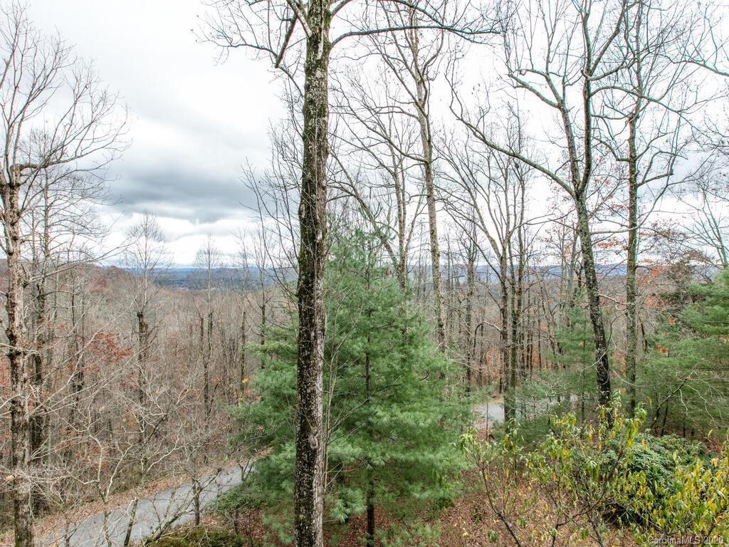160 Sunny Ridge Road Laurel Park, NC 28739 - Photo 21 of 40