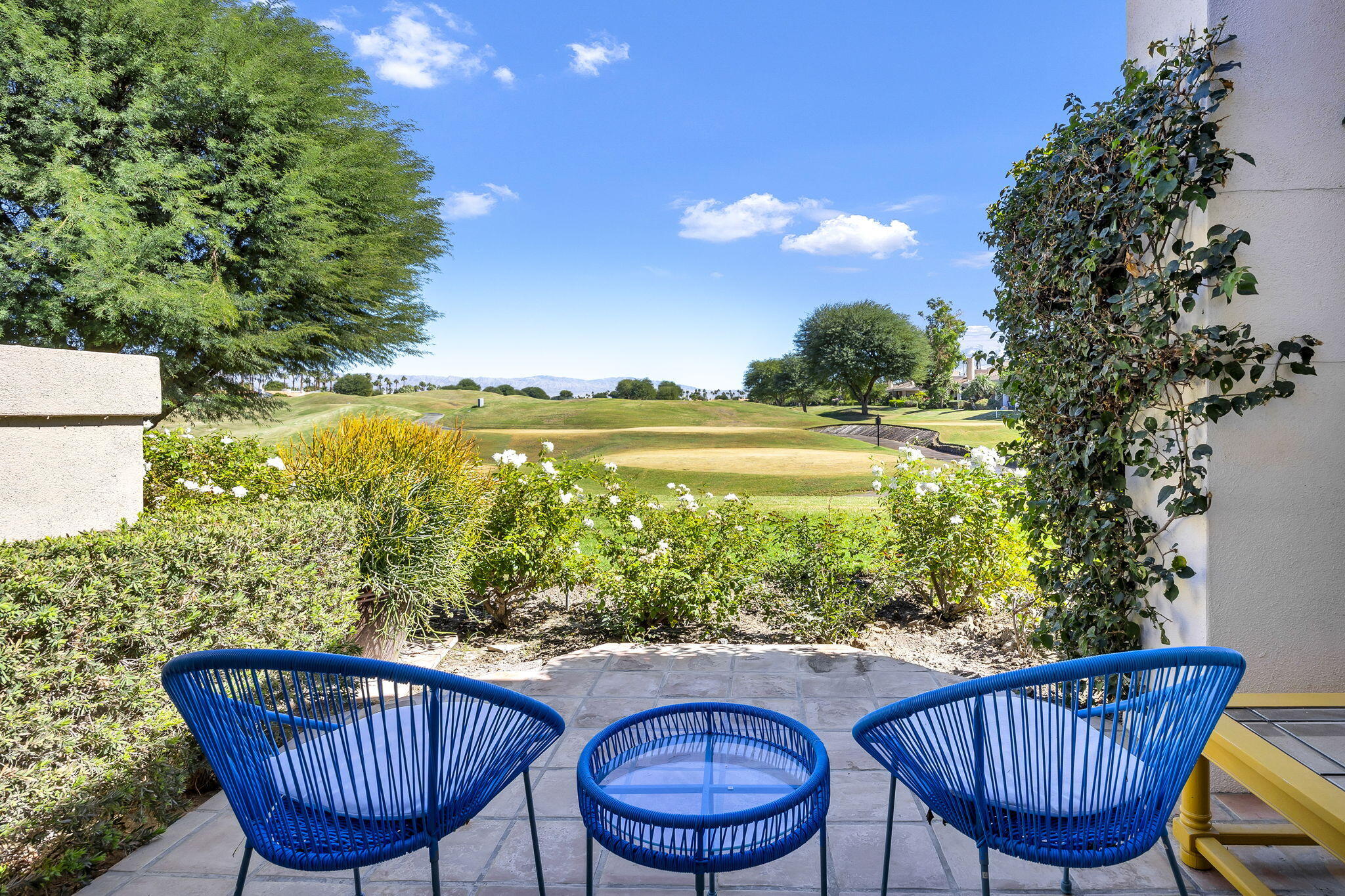 33-web-or-mls-12 (3)