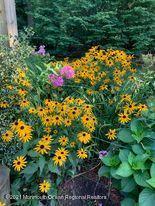 1759 Todd Road Toms River, NJ 08755 - Photo 52 of 58 a view of a flower