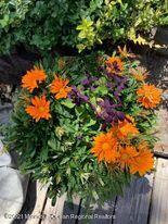 1759 Todd Road Toms River, NJ 08755 - Photo 54 of 58 1759 todd flowers 2