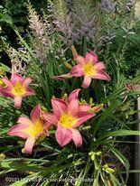 1759 Todd Road Toms River, NJ 08755 - Photo 55 of 58 a view of a flower in front of house