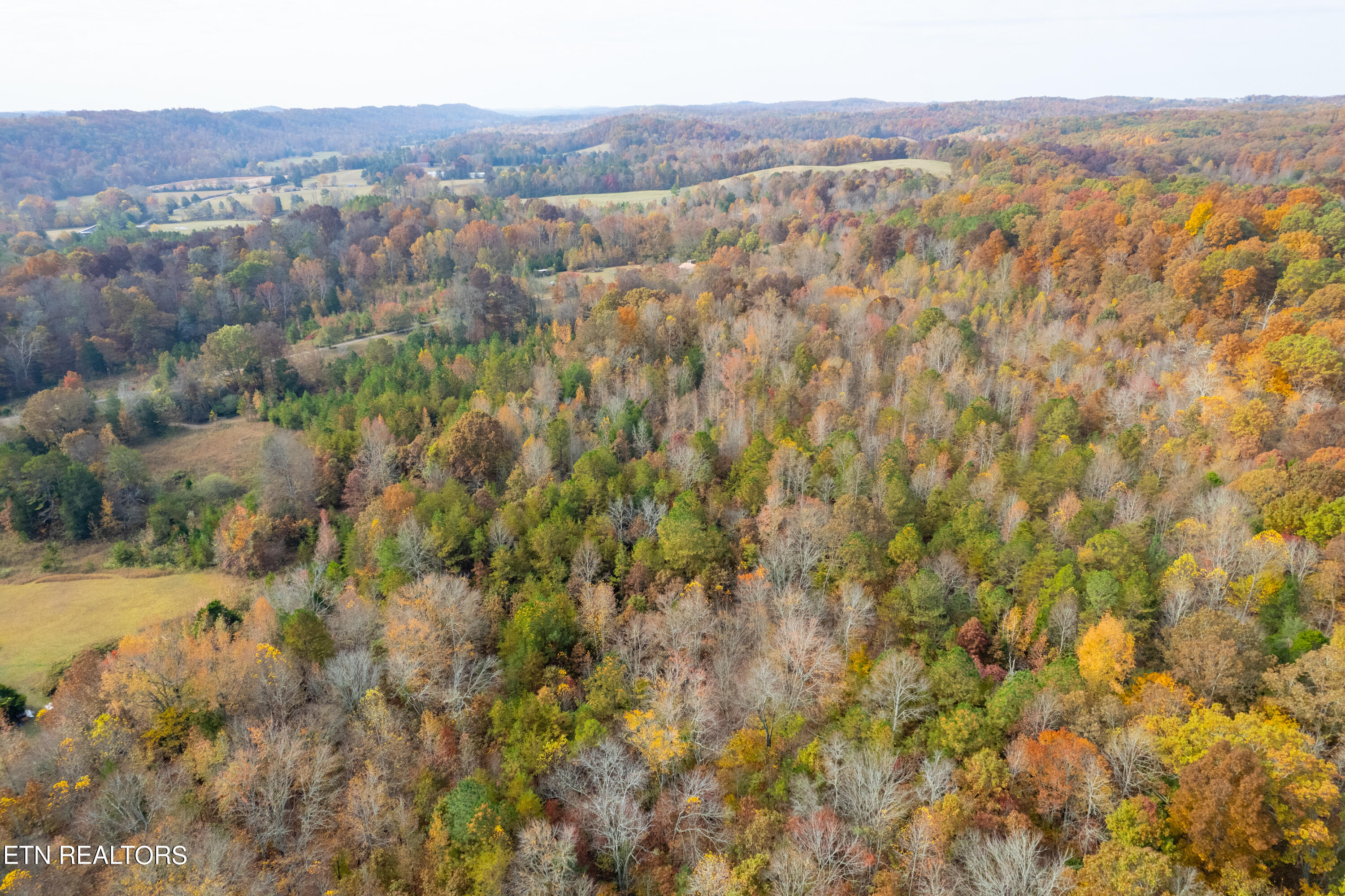 338 Paint Rock Valley Road Philadelphia, TN 37846 - Photo 14 of 37 338 Paint Rock Valley Rd-10