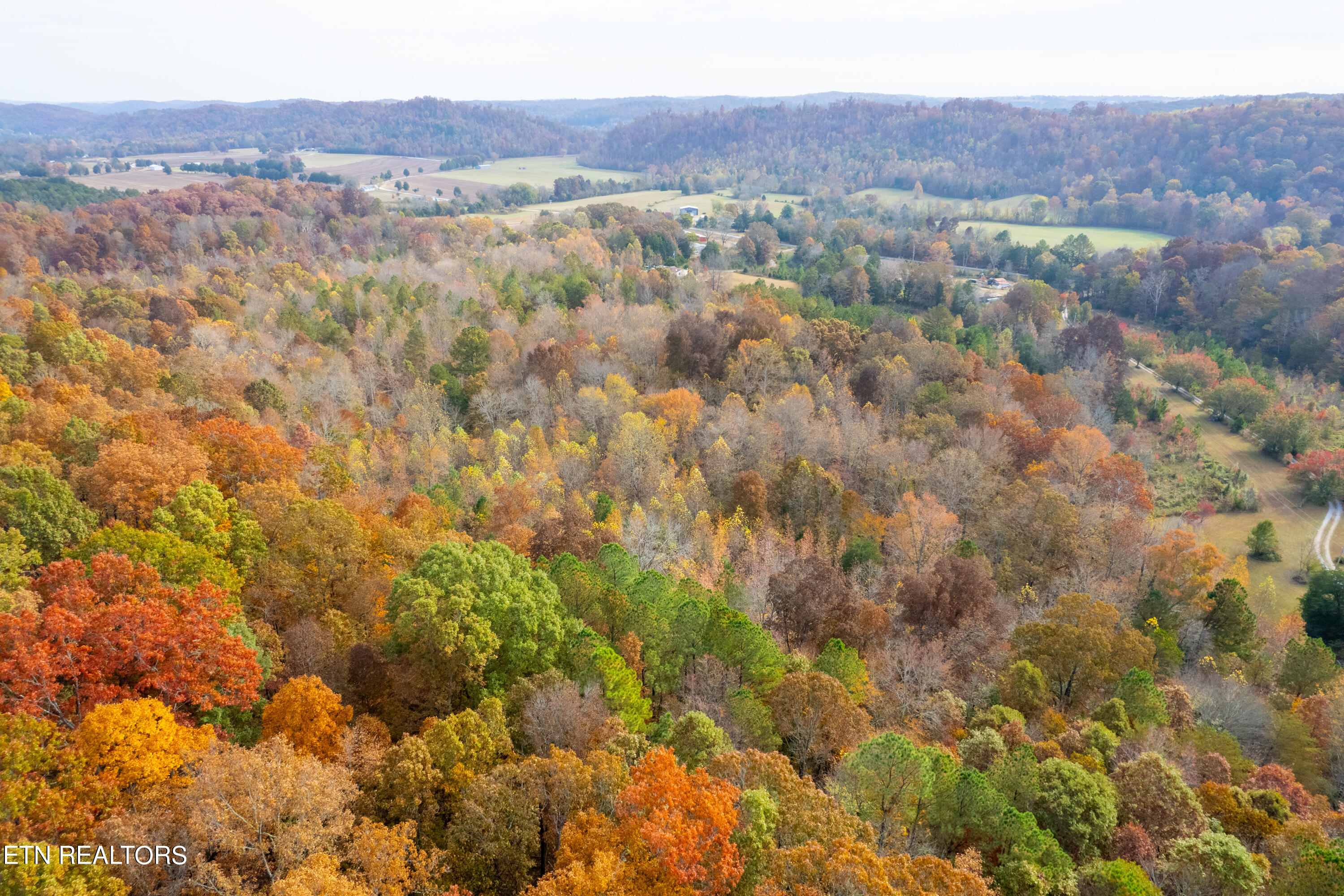 338 Paint Rock Valley Road Philadelphia, TN 37846 - Photo 19 of 37 338 Paint Rock Valley Rd-15