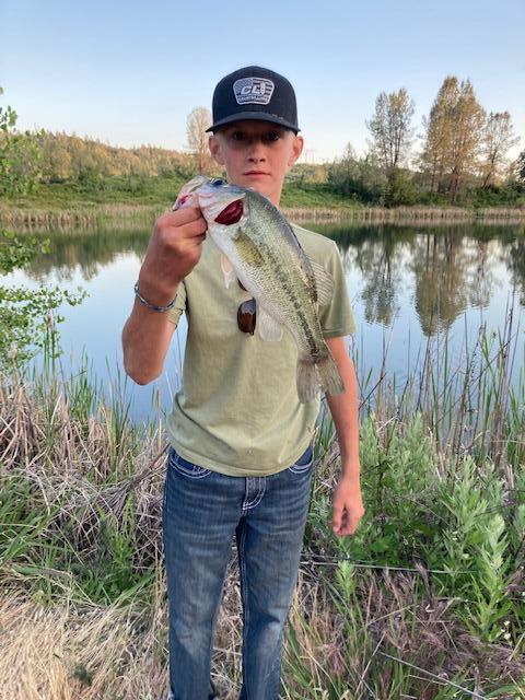 12339 Fern Road Whitmore, CA 96096 - Photo 146 of 152 IMG_2049