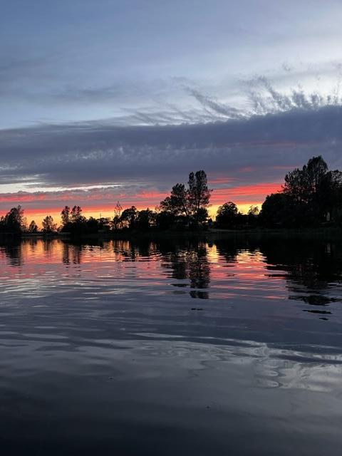 12339 Fern Road Whitmore, CA 96096 - Photo 151 of 152 IMG_3971