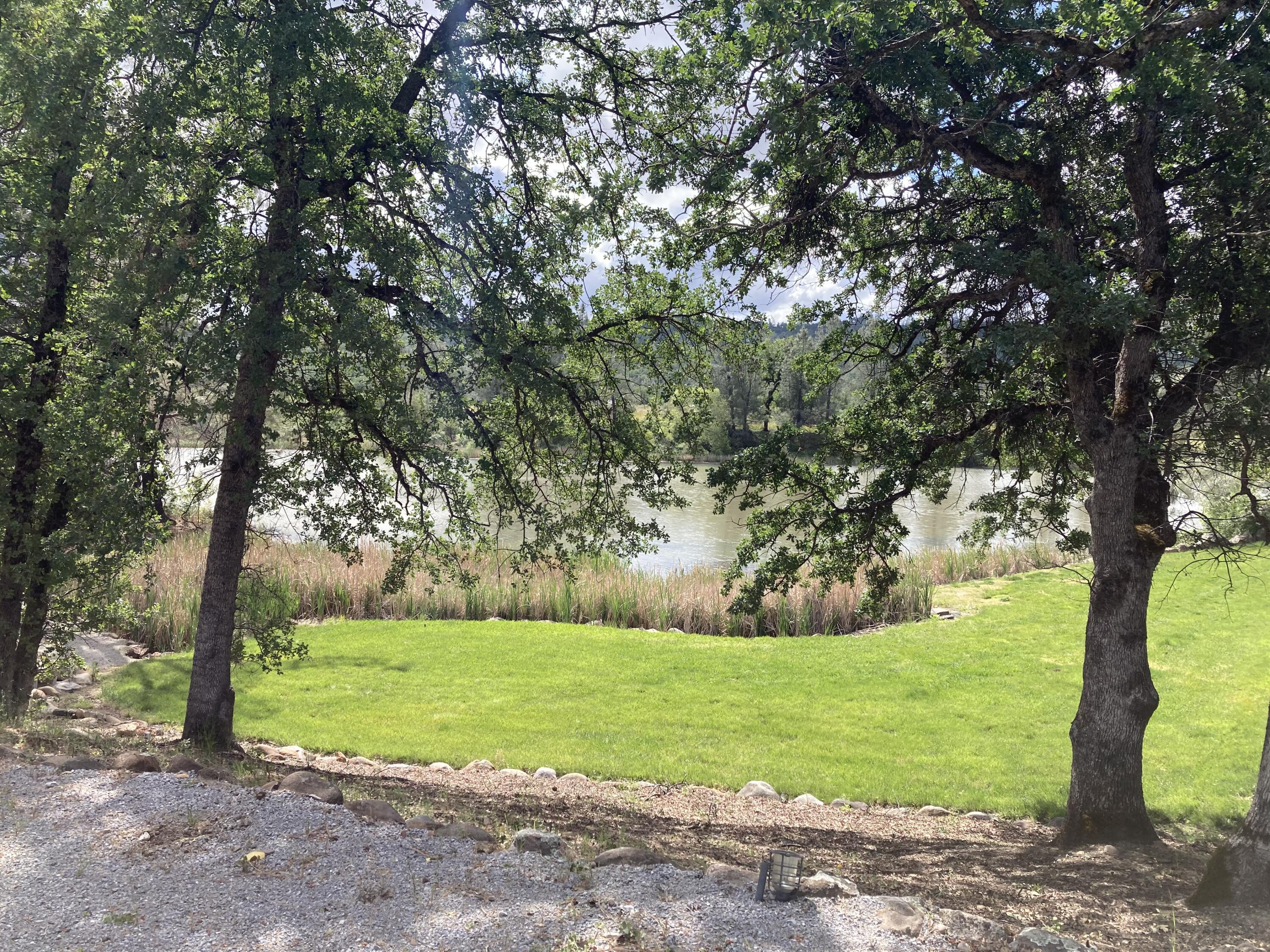 12339 Fern Road Whitmore, CA 96096 - Photo 54 of 152 a view of a yard with a large trees