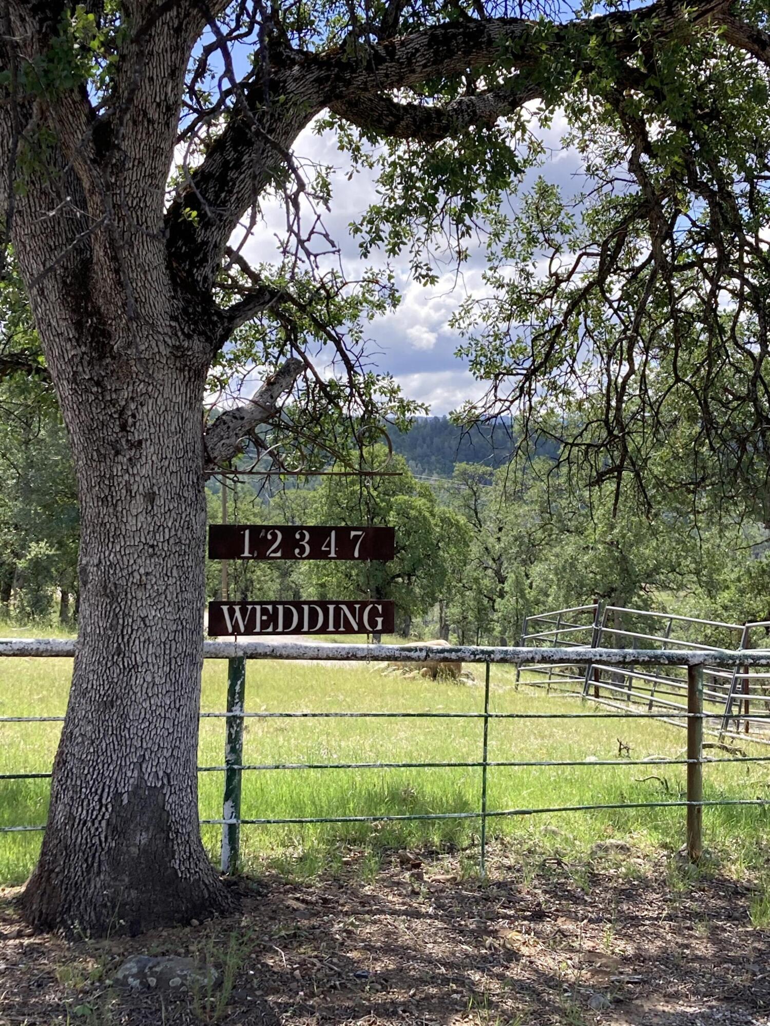 12339 Fern Road Whitmore, CA 96096 - Photo 6 of 152 2417C689-1AF8-480E-945A-CD5C6A698BA9