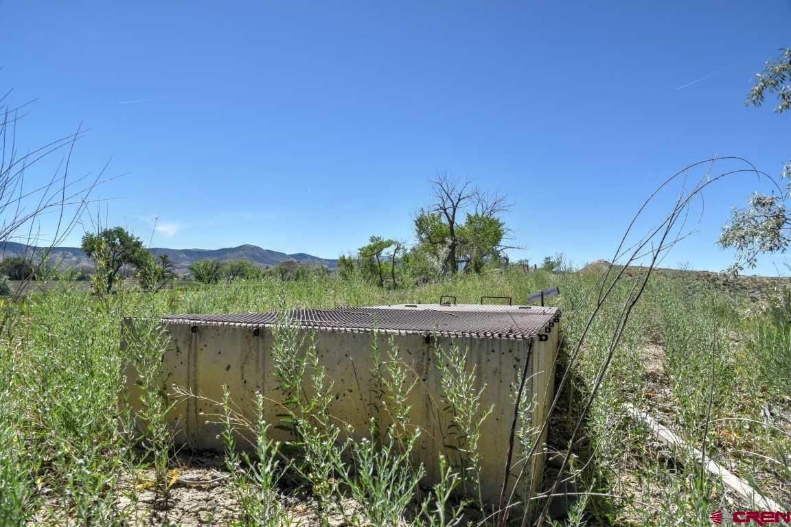 14334 6900th Road Montrose, CO 81401 - Photo 17 of 35 Gallery Image 17