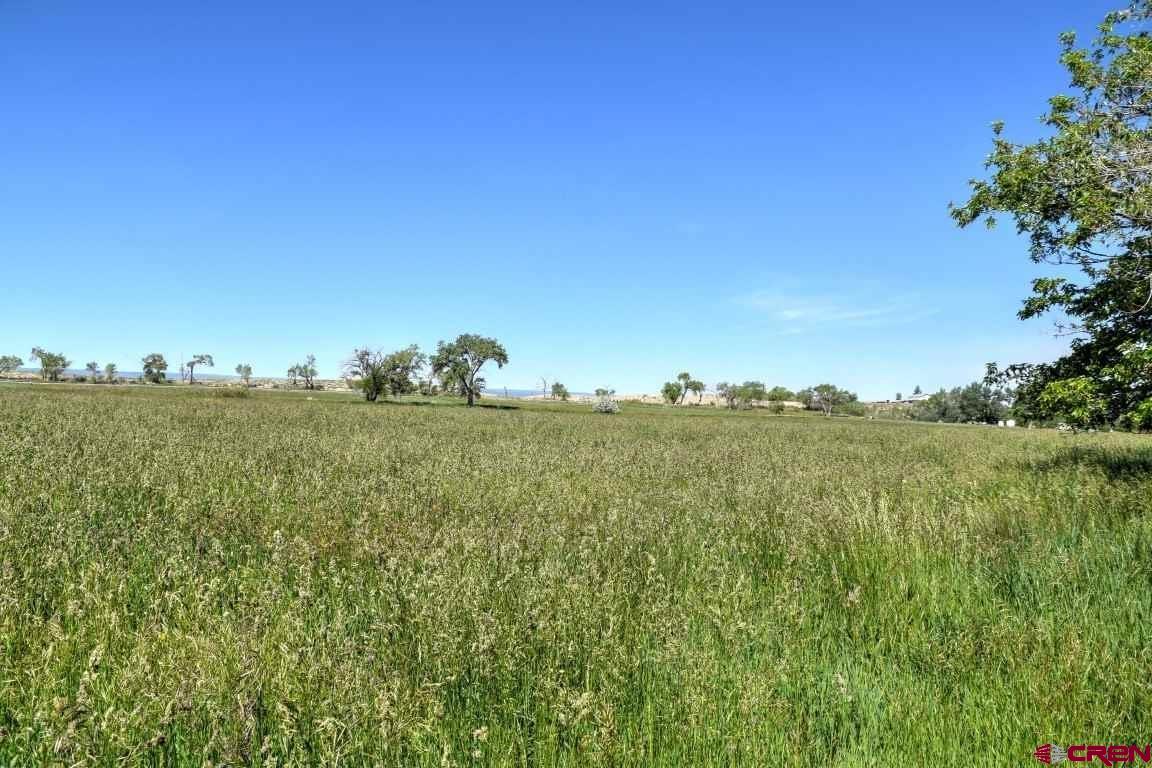 14334 6900th Road Montrose, CO 81401 - Photo 20 of 35 Gallery Image 20