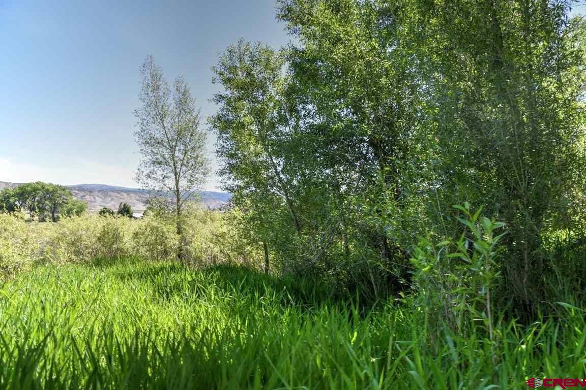 14334 6900th Road Montrose, CO 81401 - Photo 21 of 35 Gallery Image 21