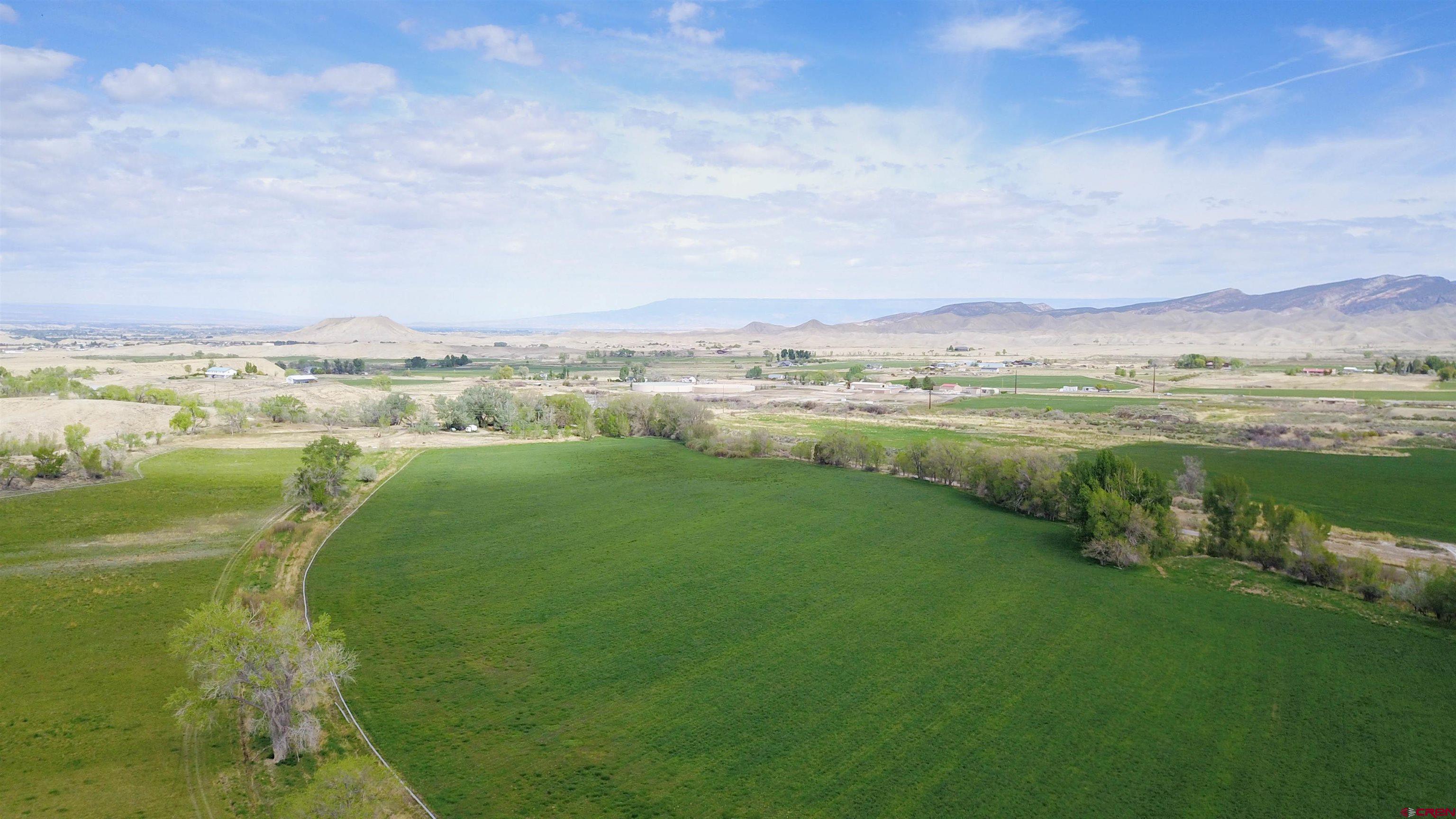 14334 6900th Road Montrose, CO 81401 - Photo 8 of 35 Gallery Image 8