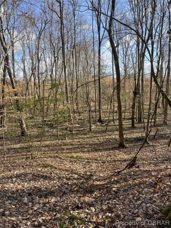 2.07-ac Old Pinetta Road Gloucester, VA 23061 - Photo 12 of 16