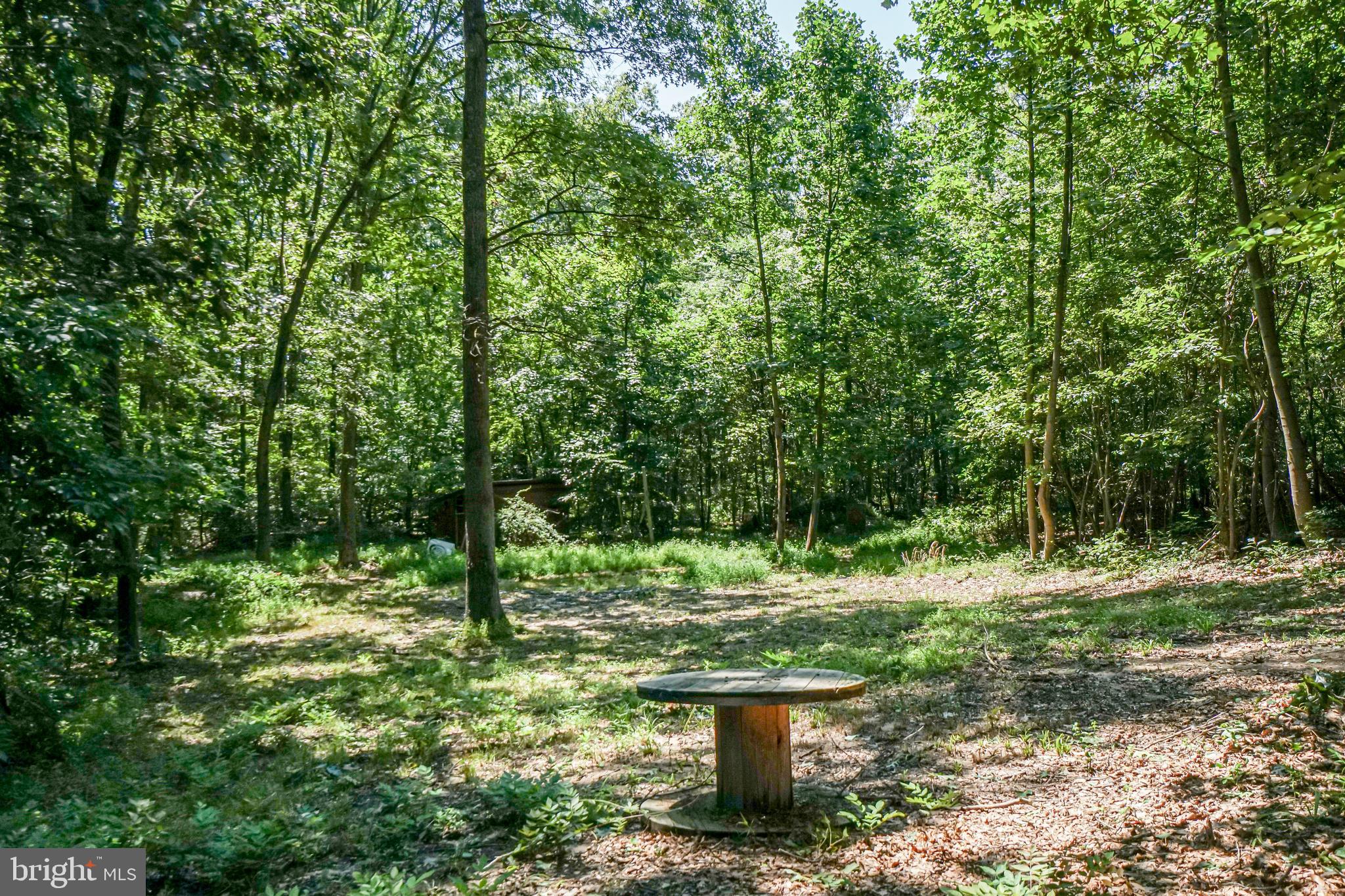 1058 Nottingham Road Elkton, MD 21921 - Photo 12 of 29 Rear yard/wooded lot