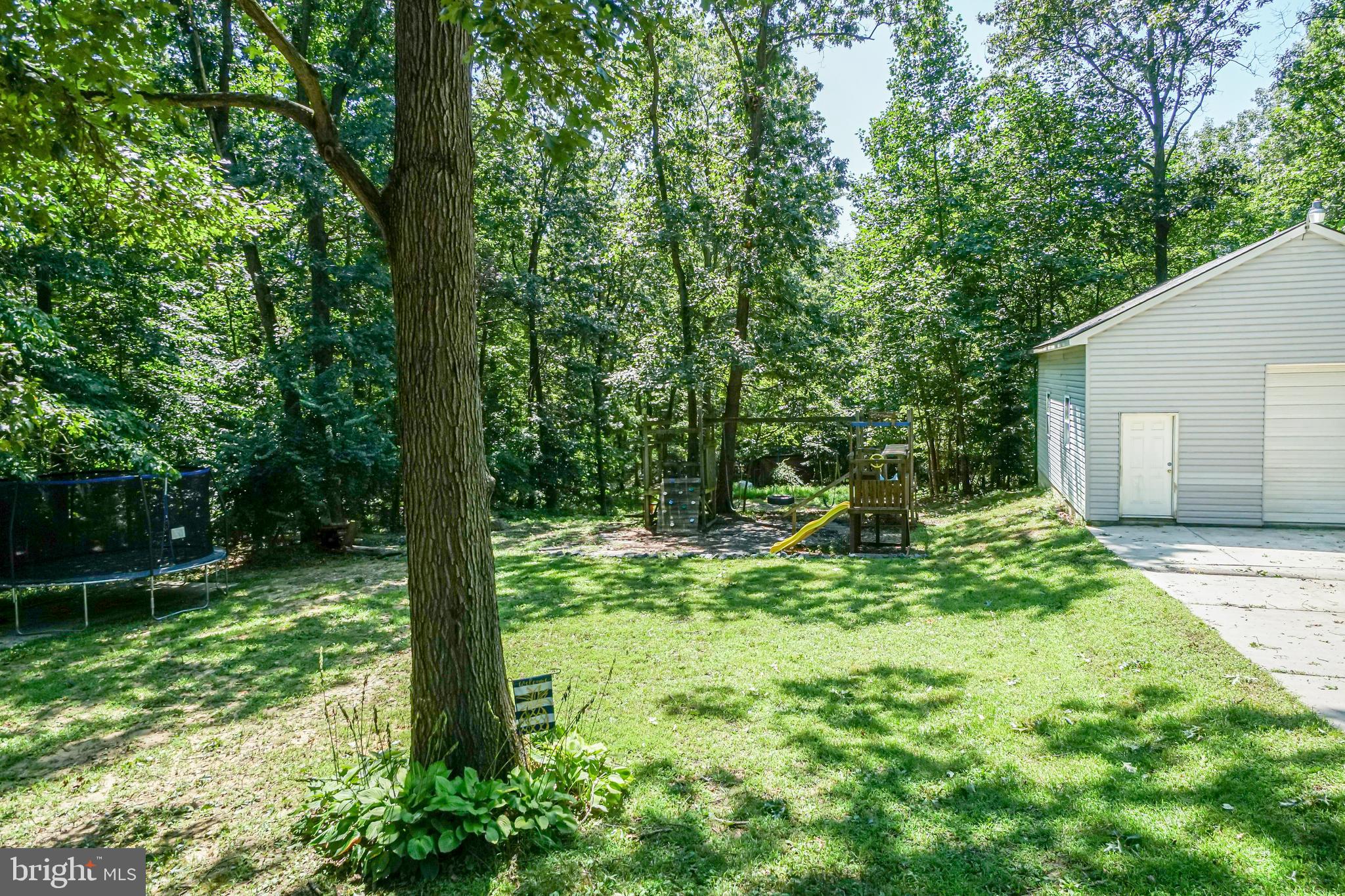 1058 Nottingham Road Elkton, MD 21921 - Photo 10 of 29 Rear yard