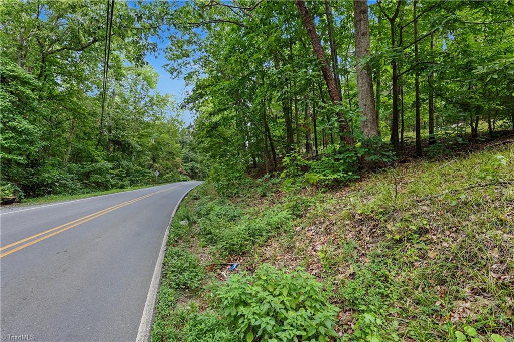 0 Luck Road Asheboro, NC 27205 - Photo 4 of 19 Gallery Image 4