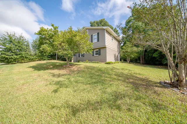 a view of a yard with a trees
