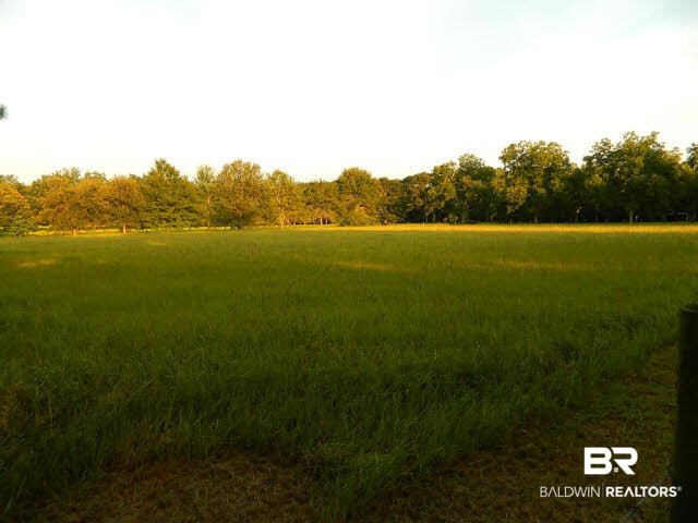 21372 County Road 49 Silverhill, AL 36576 - Photo 25 of 50 Back field